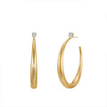 Horn-shaped stud earrings