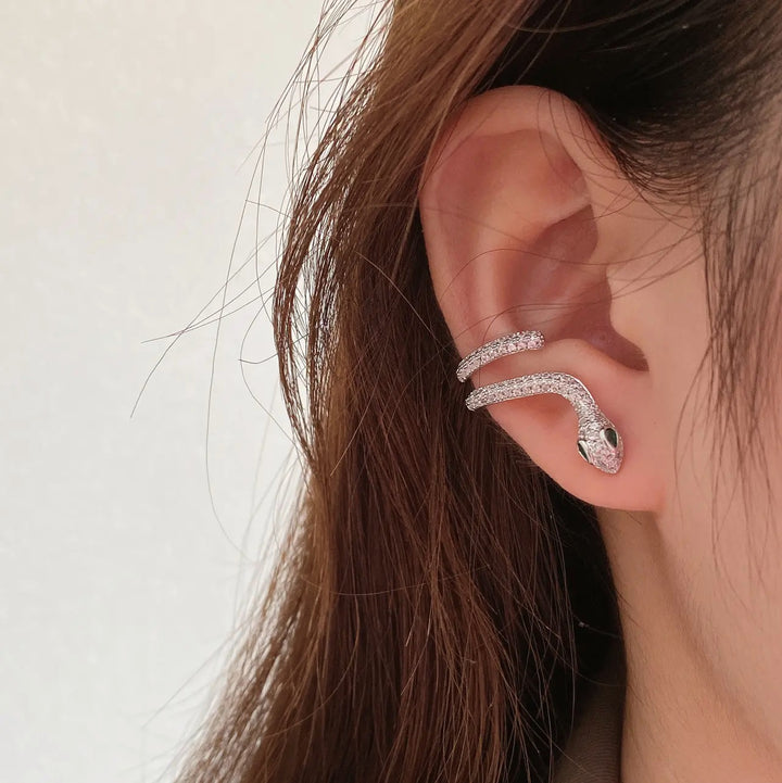 Serpent Shape Zircon Earrings