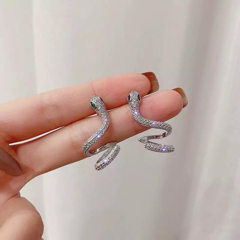 Serpent Shape Zircon Earrings