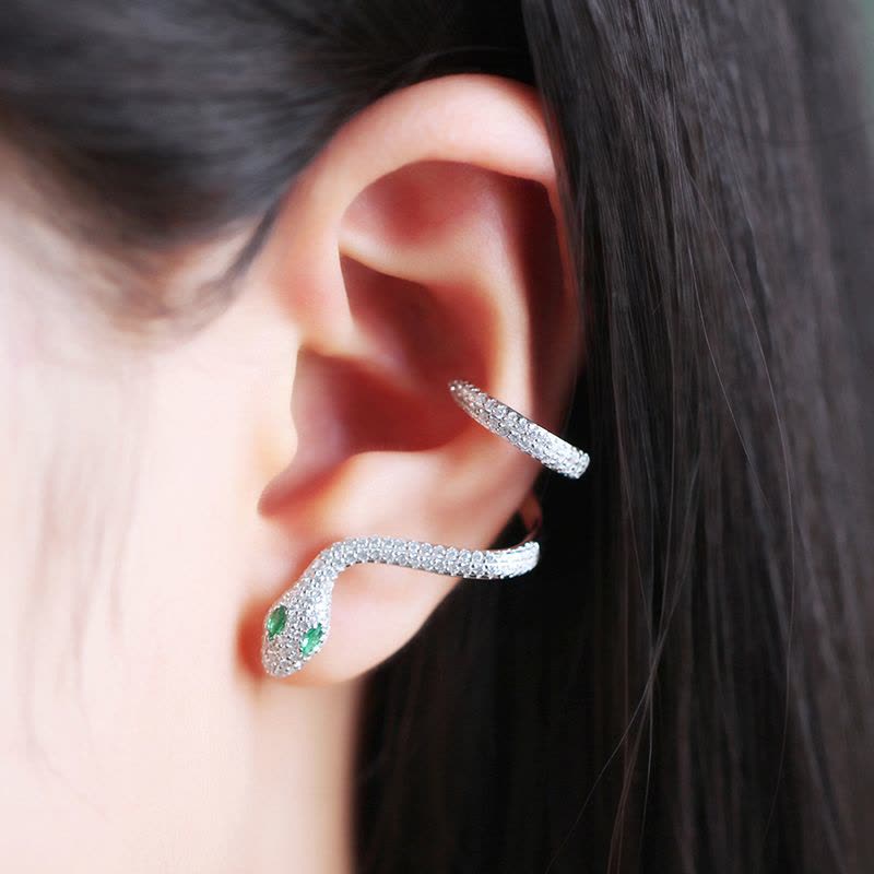 Serpent Shape Zircon Earrings